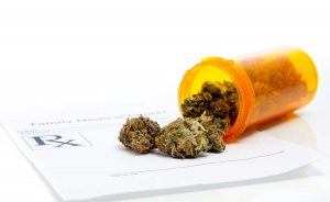 ARE MEDICAL MARIJUANA SEEDS REALLY EFFECTIVE FOR HEALTH CONDITIONS