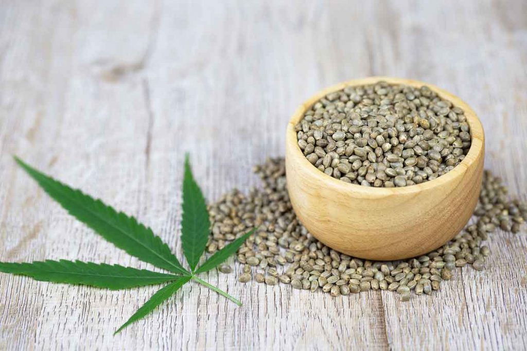 Good Marijuana Seeds to Grow for New Growers