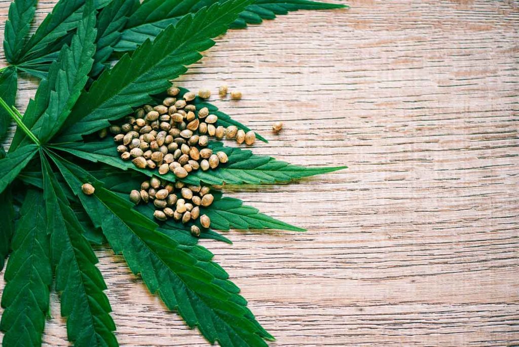 The Advantages of Growing Marijuana Seeds Indoors