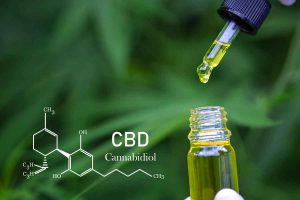Why is It Important to Check the CBD Level of Marijuana