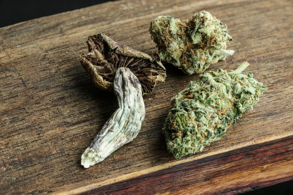 Weed and Mushrooms: Get High With Magic