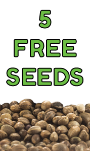 5 Free Seeds