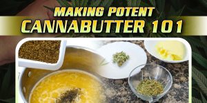 How To Make Potent Cannabutter