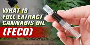 Full Extract Cannabis Oil