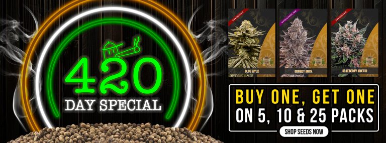 420 Promo Cannabis Seeds BOGO