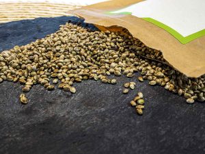 Marijuana Seedkit