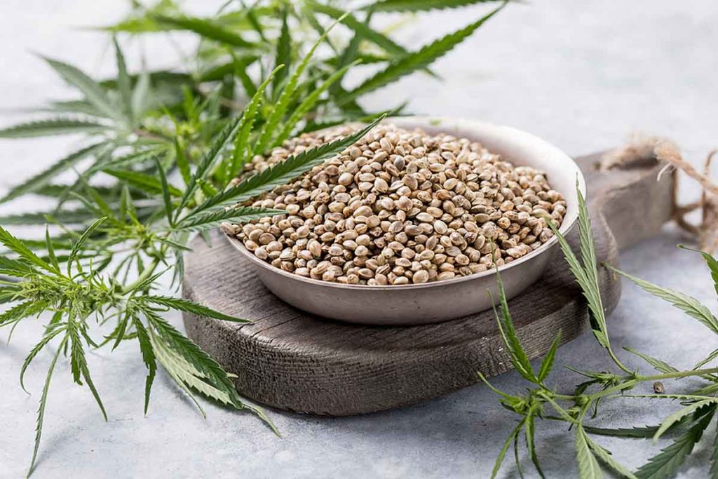 Marijuana Seeds for Sale
