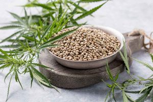 Marijuana Seeds for Sale