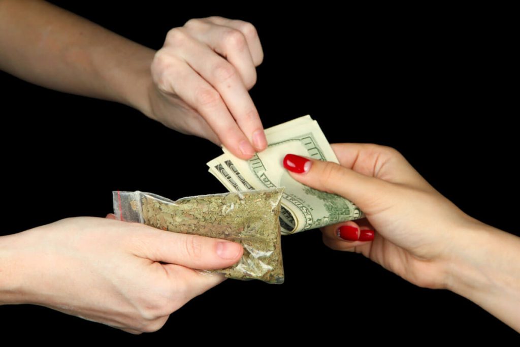 10 Most Expensive Weed Strains Ever Produced in the World