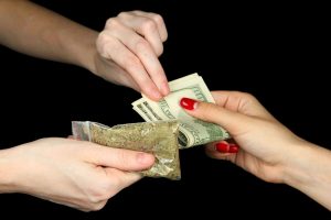 10 Most Expensive Weed Strains Ever Produced in the World