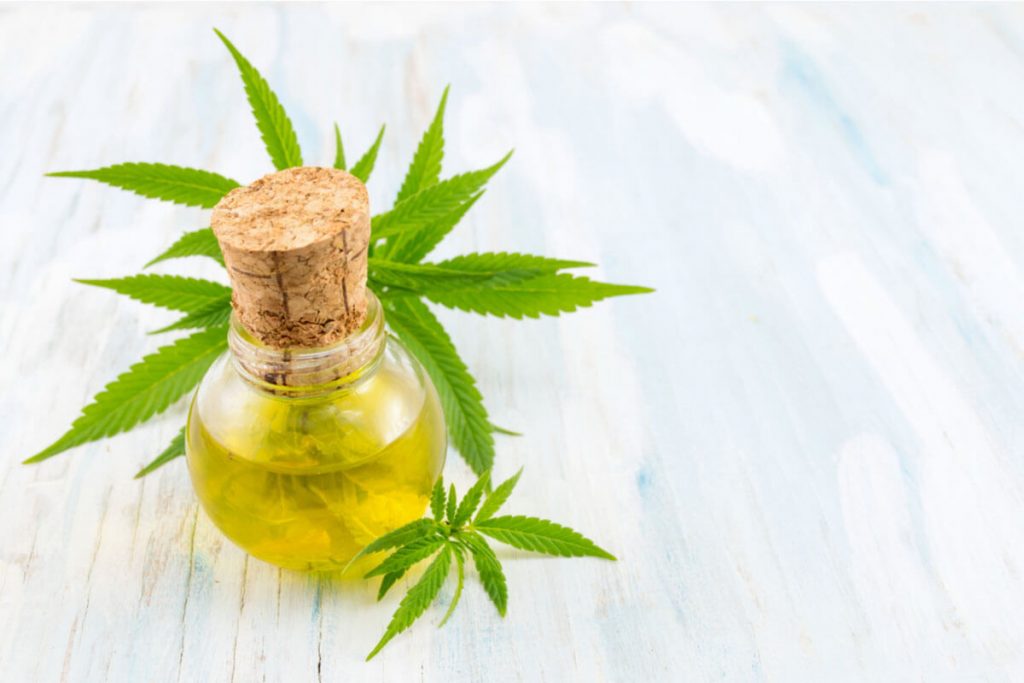 Hemp Oil for Hair: Yay or Nay