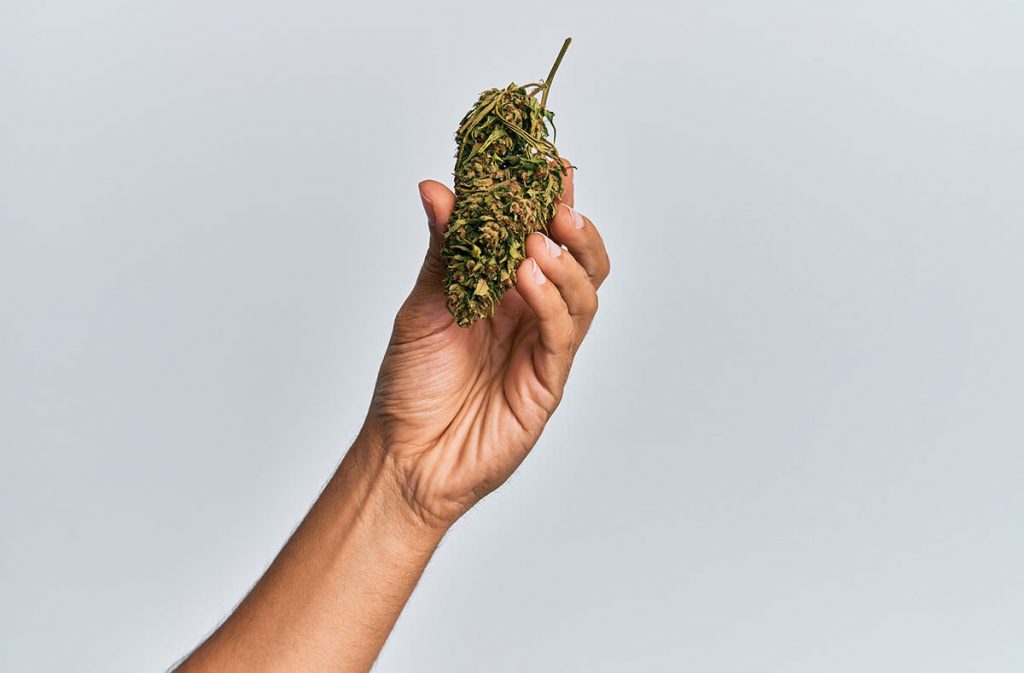 Marijuana Laws in Canada That You Should Know About
