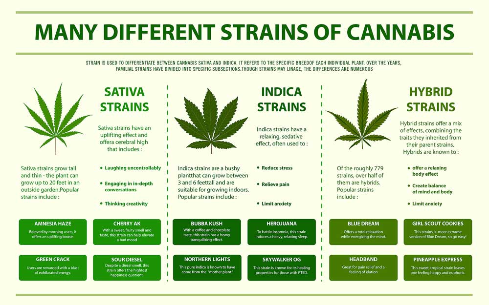 Indica and Sativa Benefits
