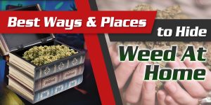 Where to Hide Weed