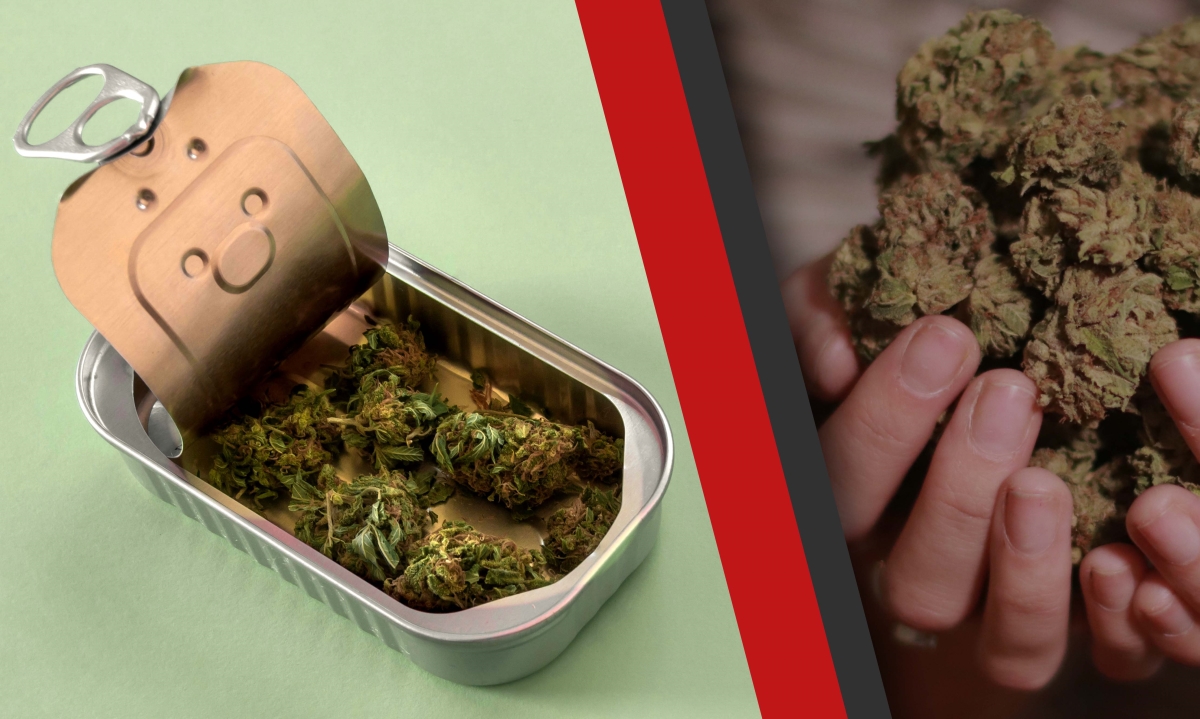 where to hide weed