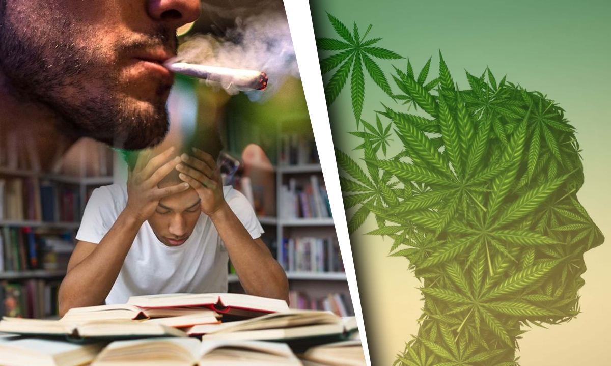 studying high