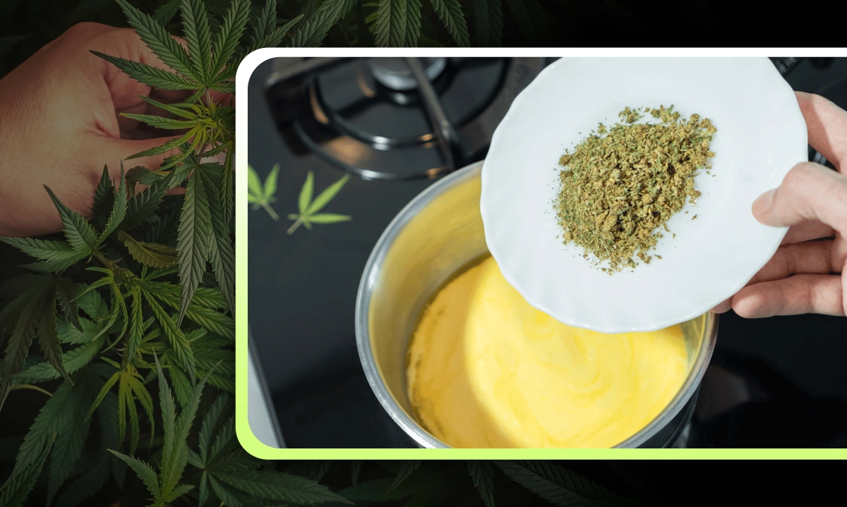potent cannabutter