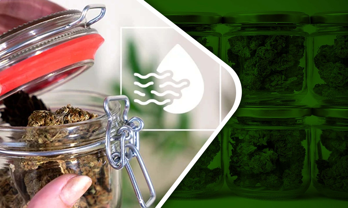 burping weed