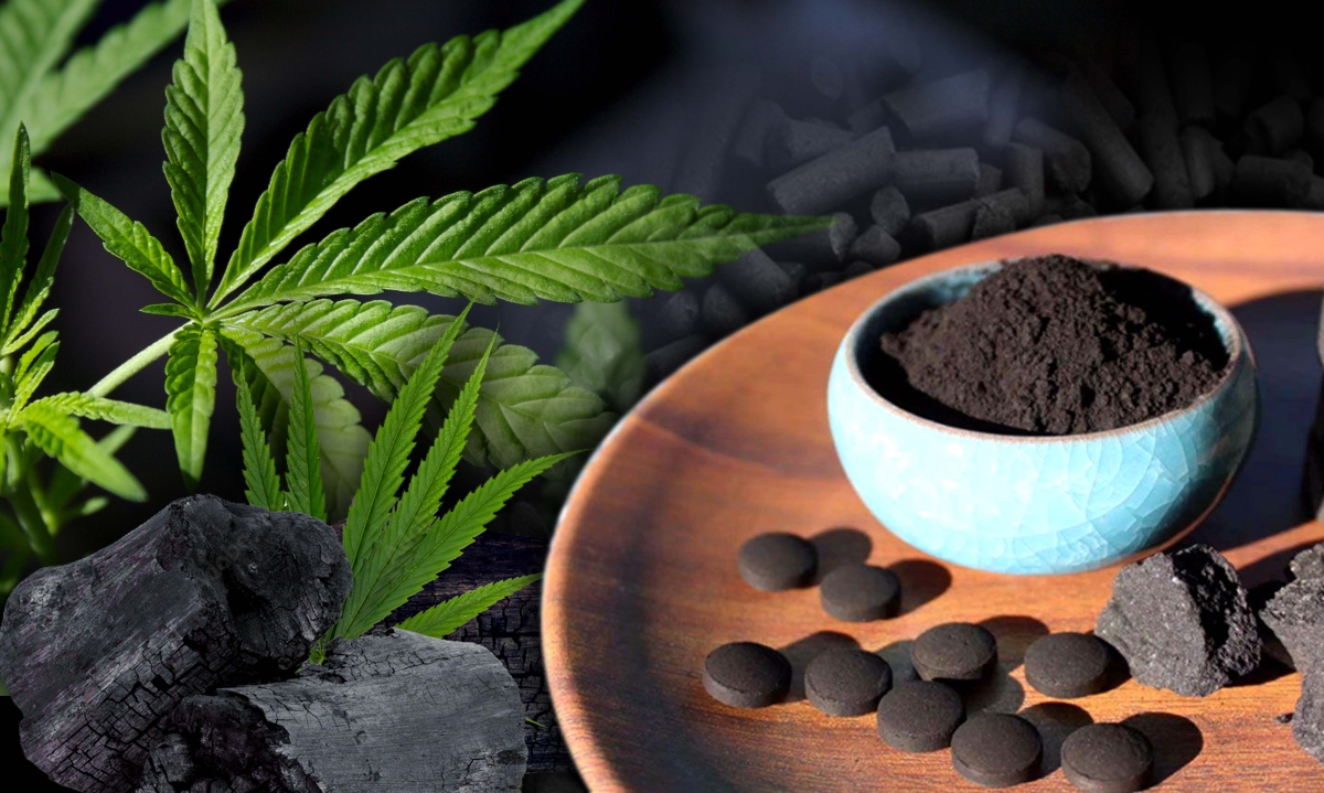 activated charcoal thc