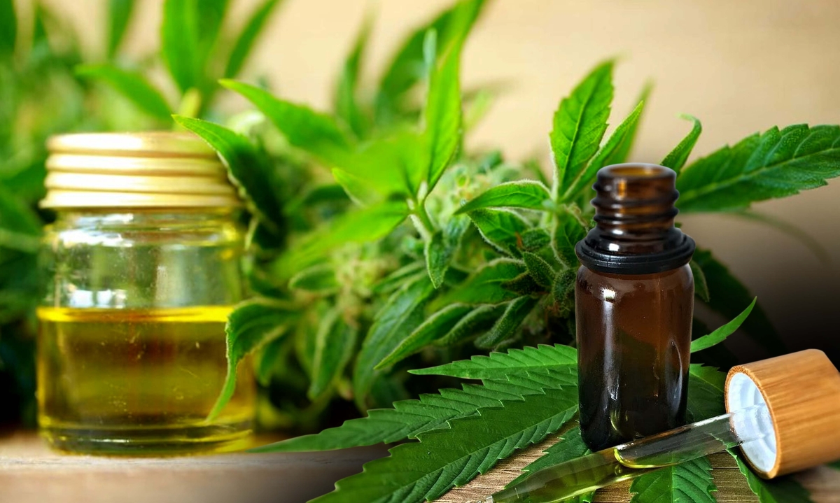 full extract cannabis oil