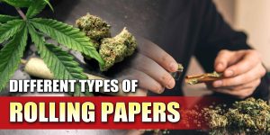 what to use as rolling paper