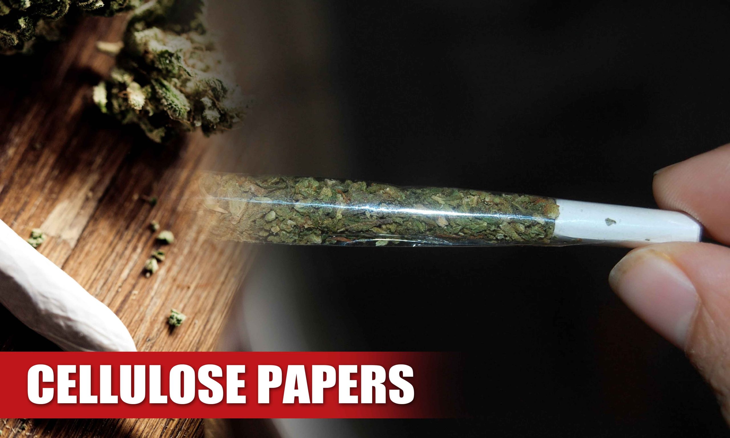 what to use as rolling paper