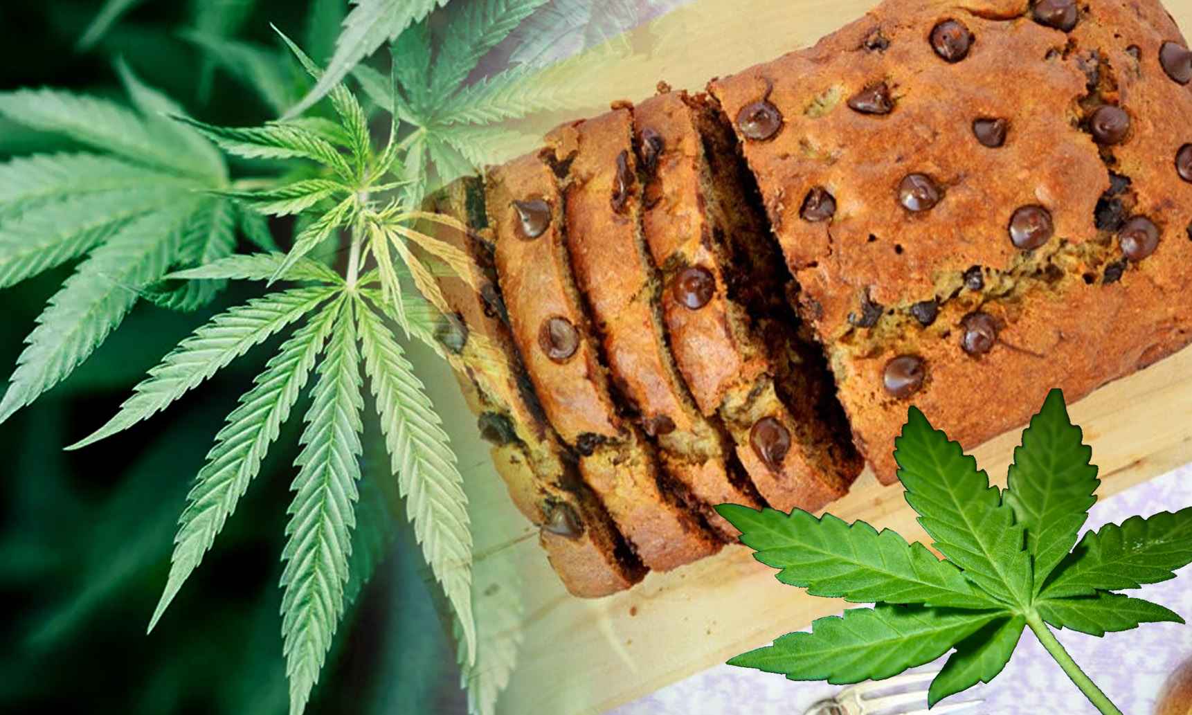 weed cake