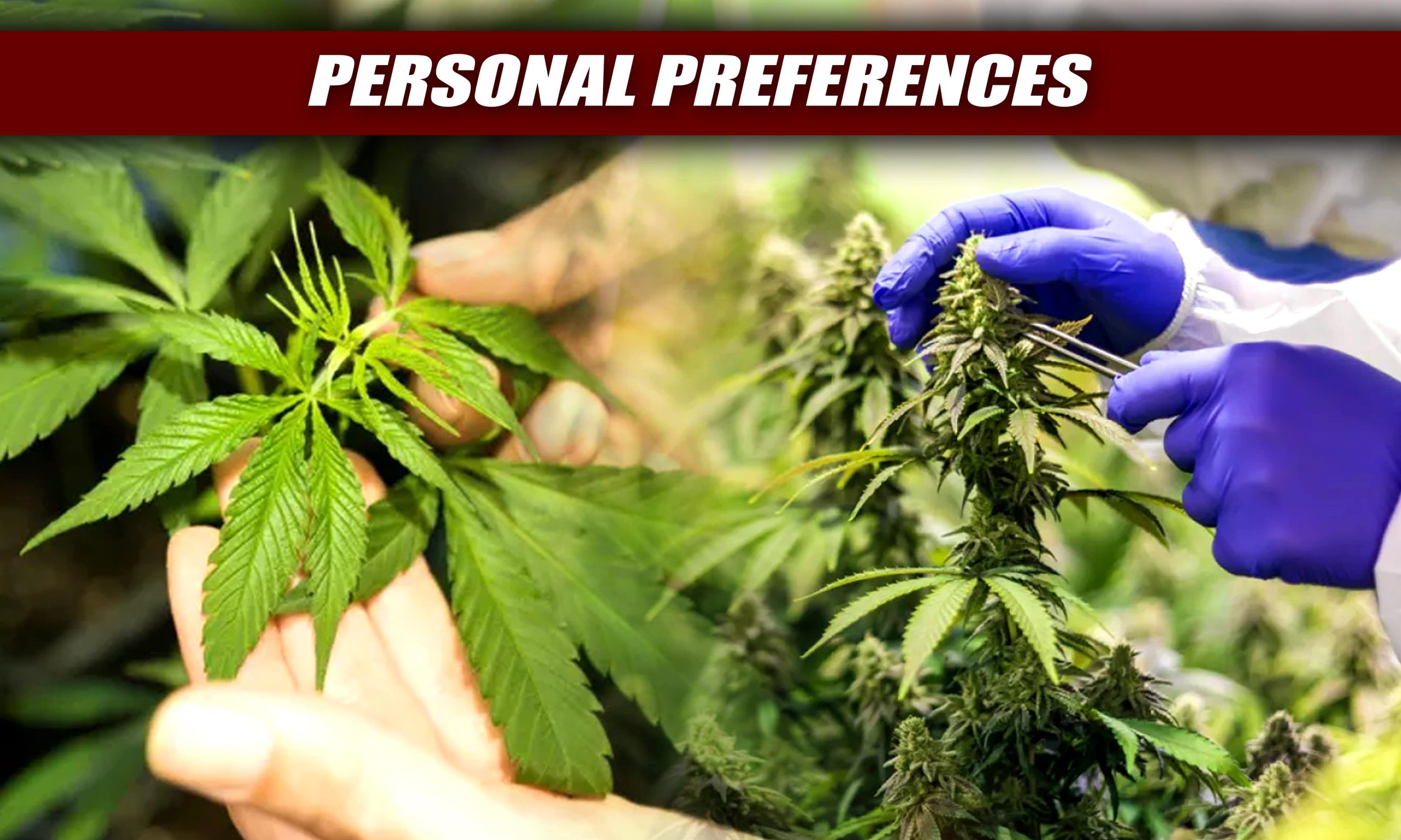 when to switch from vegetative to flowering stage