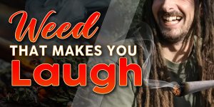 does indica make you laugh
