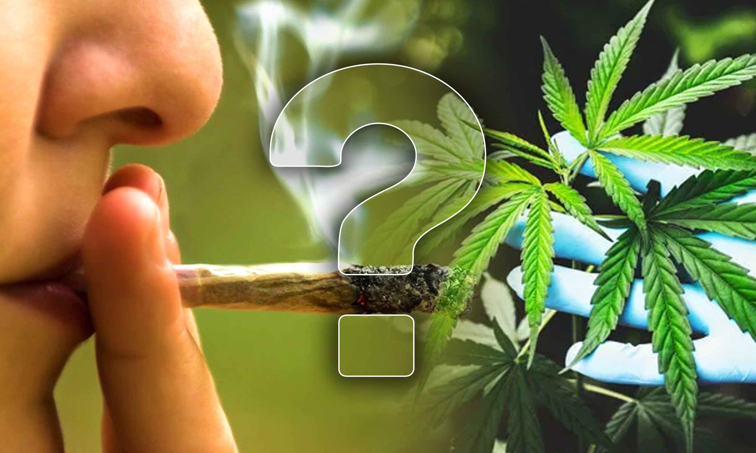 does indica make you laugh