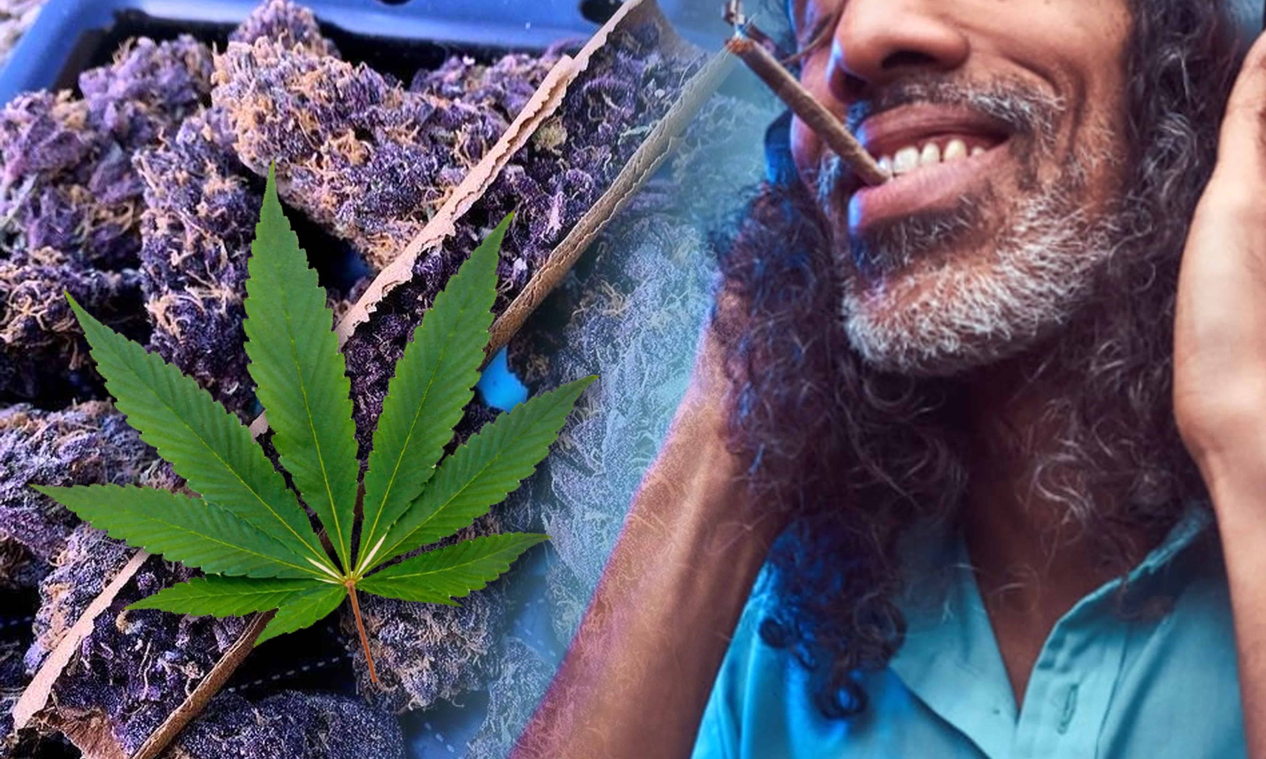 does indica make you laugh