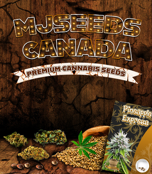 Marijuana Seeds Canada