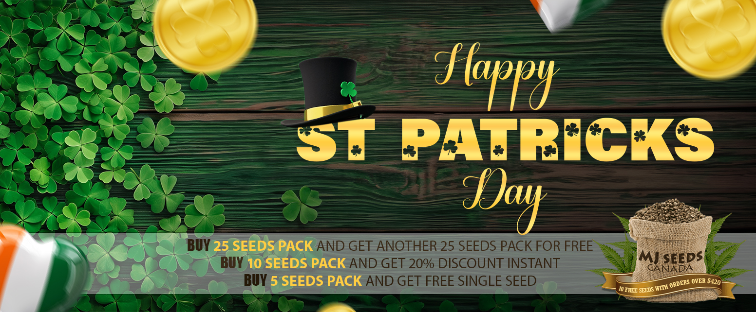 St. Patrick Promo