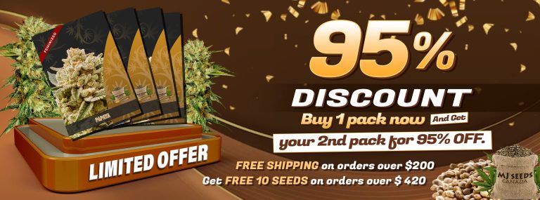 95%-OFF-PROMO Default -Desktop