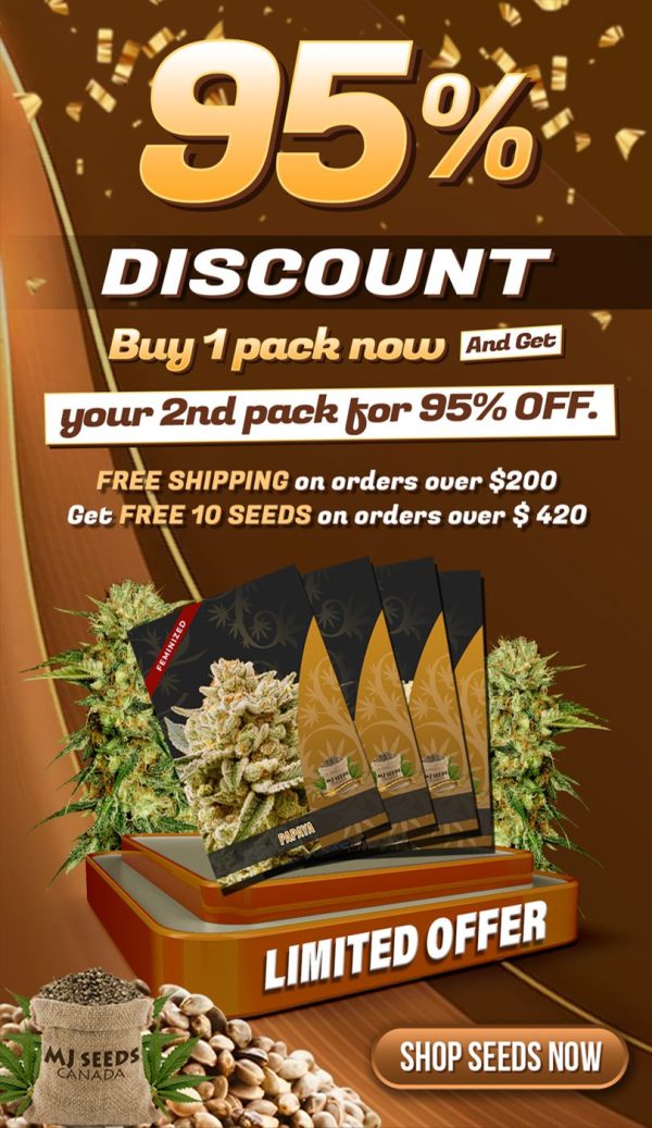 95%-OFF-PROMO - Default Mobile