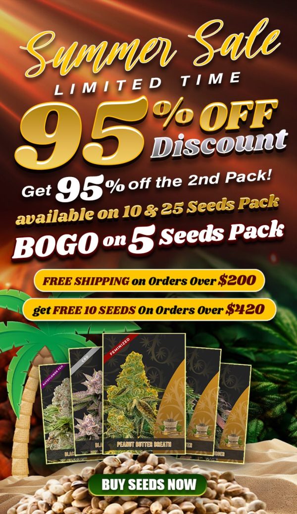 95%-SUMMER-SALE-PROMO-MJSC_CA-Mobile