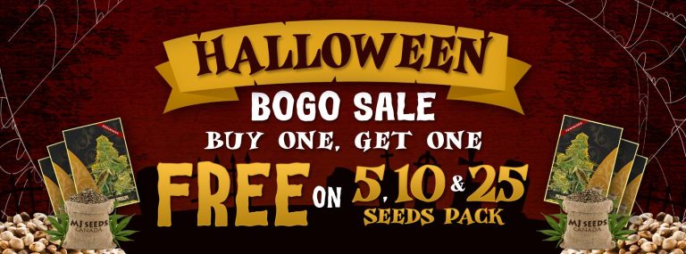 Halloween-Sale
