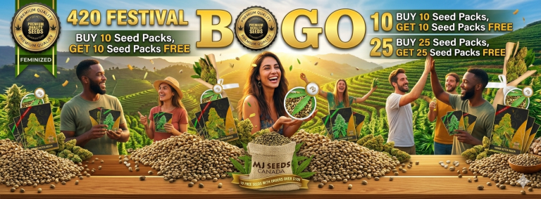 420 Promo Cannabis Seeds BOGO