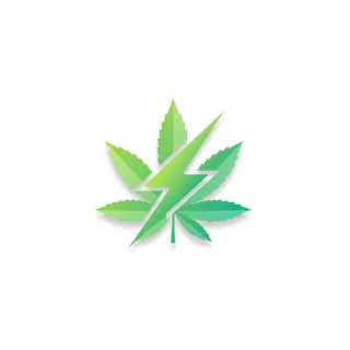 Fast version seeds icon
