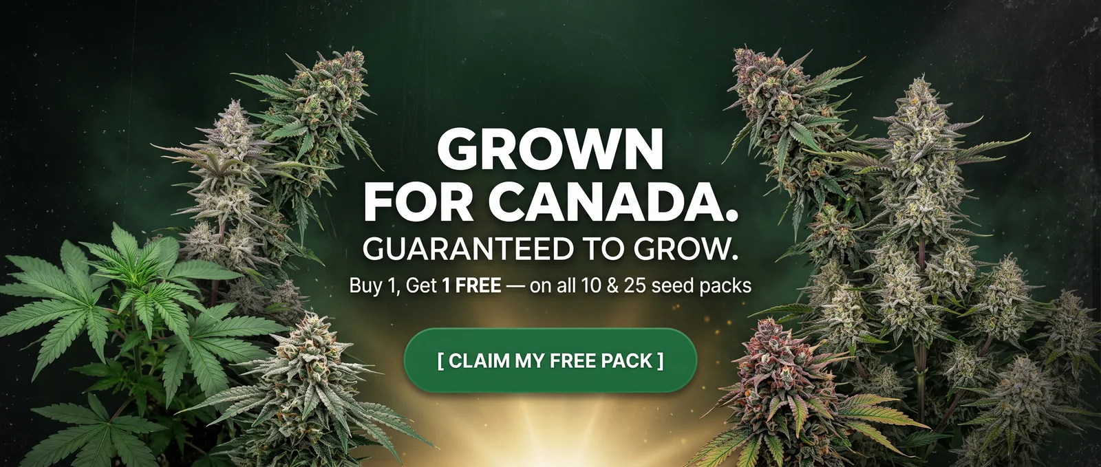 Buy 1 get 1 free on all 10 and 25 seed packs. Grown for Canada, guaranteed to grow.