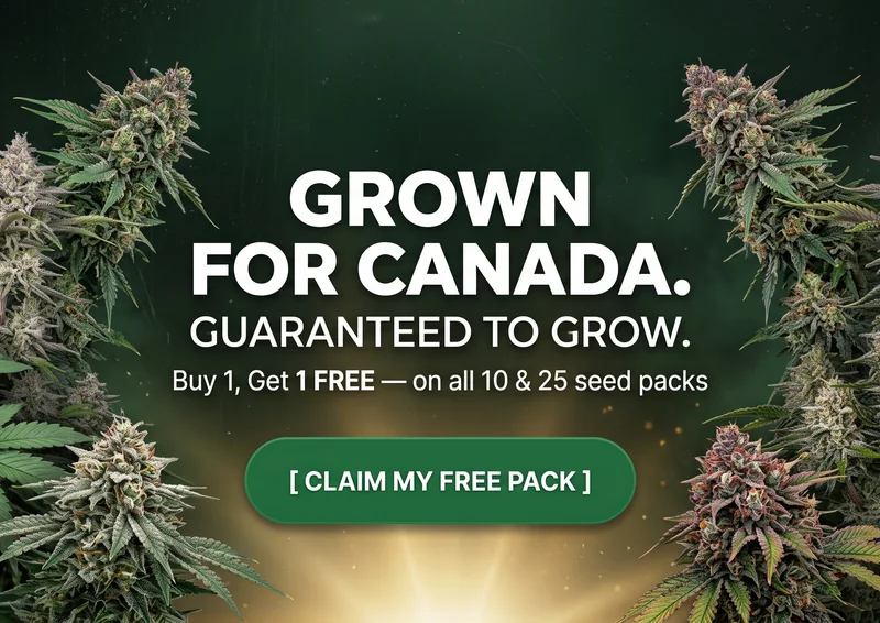 Buy 1 get 1 free on all 10 and 25 seed packs. Grown for Canada, guaranteed to grow.