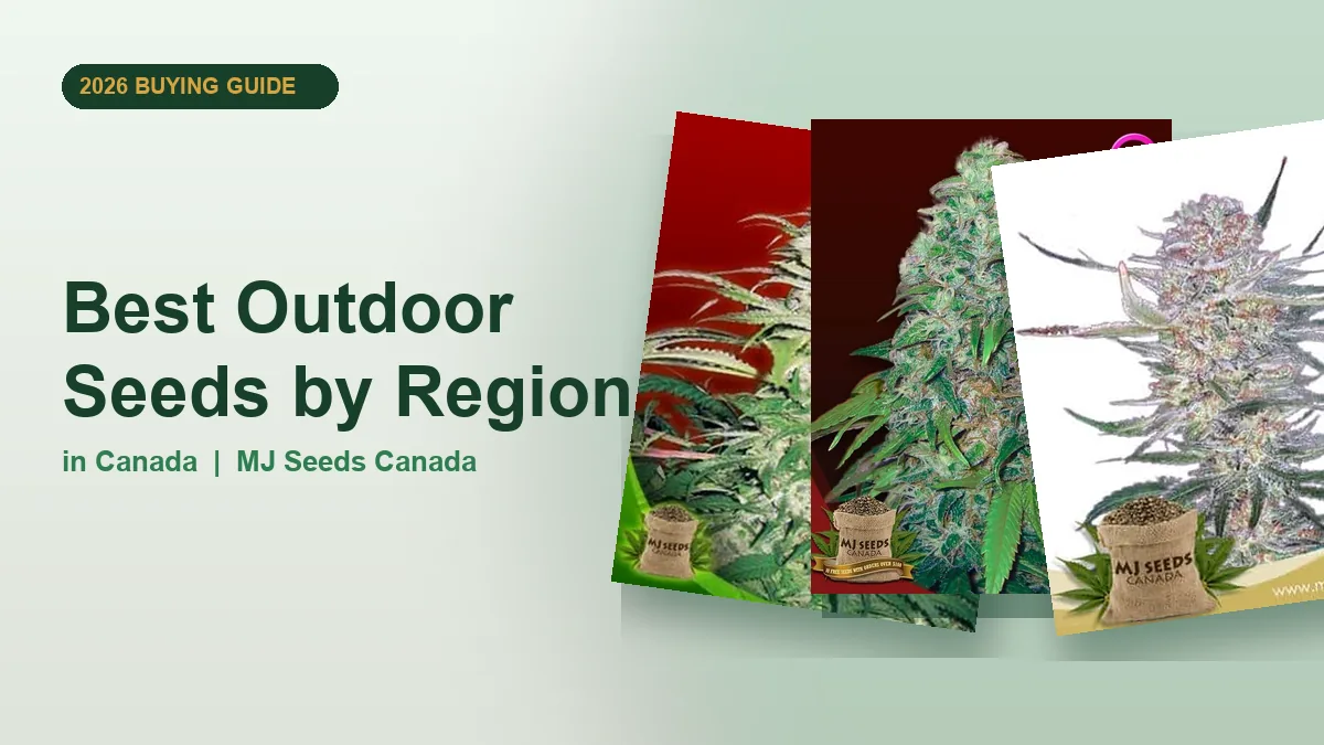 Best Outdoor Seeds by Region in Canada 2026 | MJ Seeds Canada
