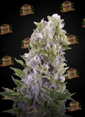Deep Breath Feminized Marijuana Seeds